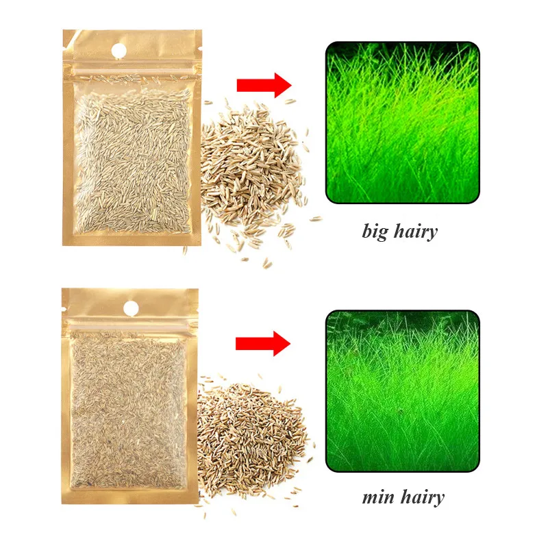 4pack Aquarium Plant Seeds Water Aquatic Grass Seeds Easy Planting Ornamental Fish Tank Landscape Plant2