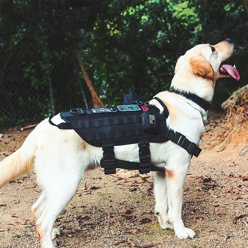 dog harness with grab handle