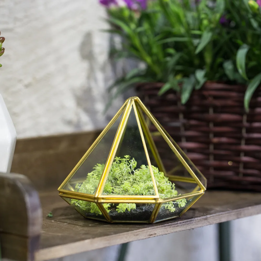 Tabletop Gold Diamond Glass Succulent Plant Moss Display Flower Pot Small Windowsill Planter Centerpiece Geometric Terrarium Box | Дом и сад