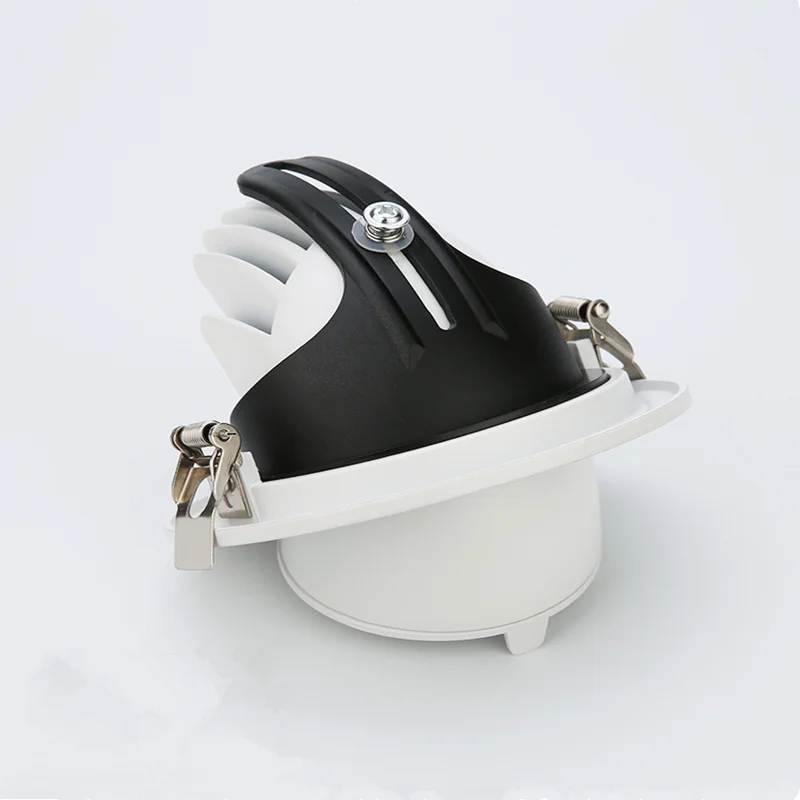 10W 20W Trunk LED Downlight