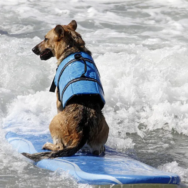 Cool Summer Pet Abbigliamento Per Cani Pet Dog Salvare Cucciolo Di