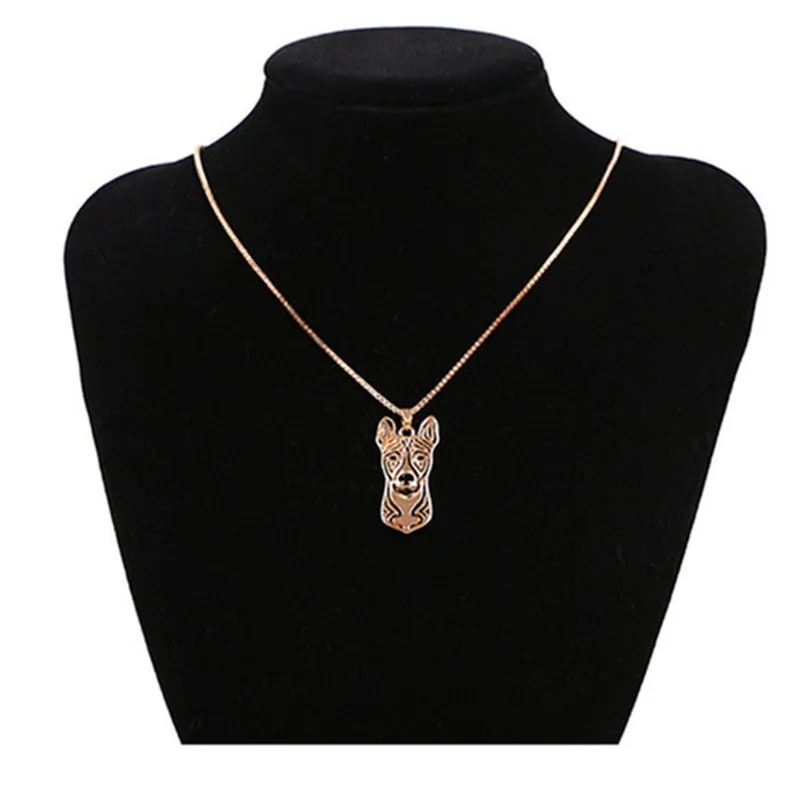 2813251415_1522501699