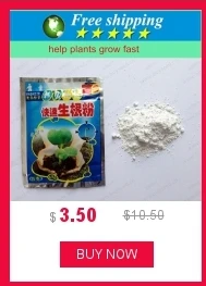 dianxiaobao