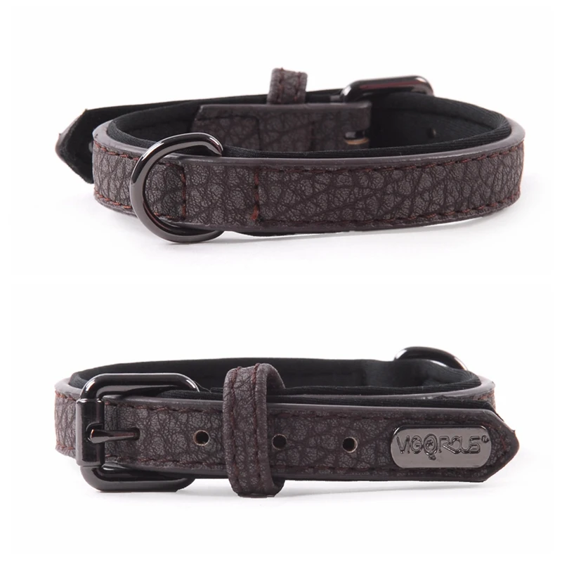 dog collar (6)