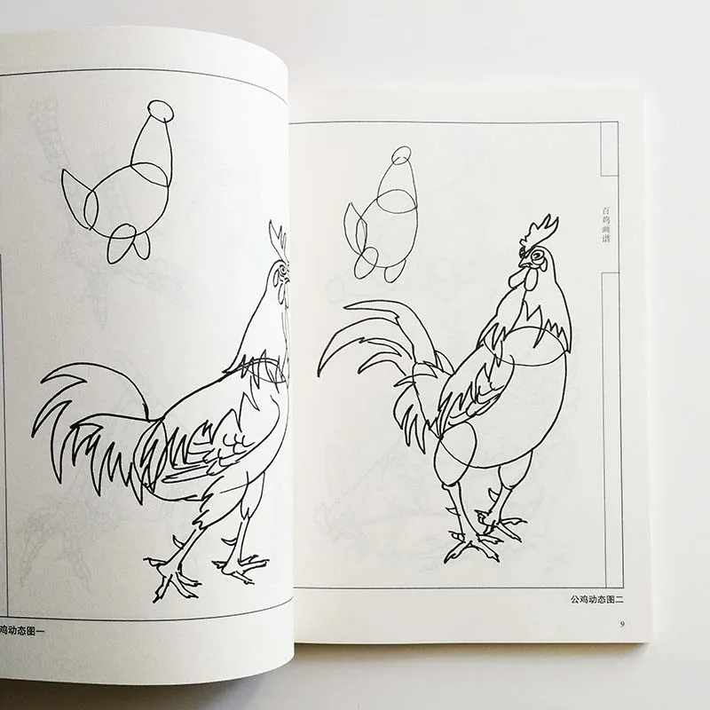 Книга для рисования сто петушков от Deng Wenxin раскраска взрослых книга расслабления