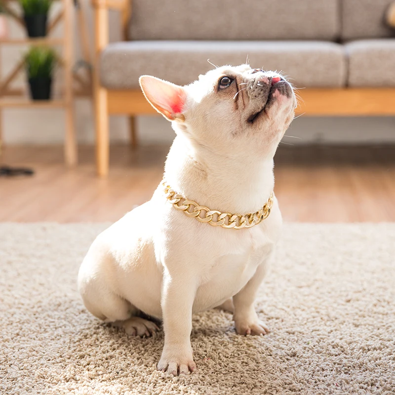 Pet Collars French Bulldog bling eBay