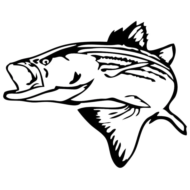 12.2*15.2CM Striper Fish Classic Fashion Car Stickers ...