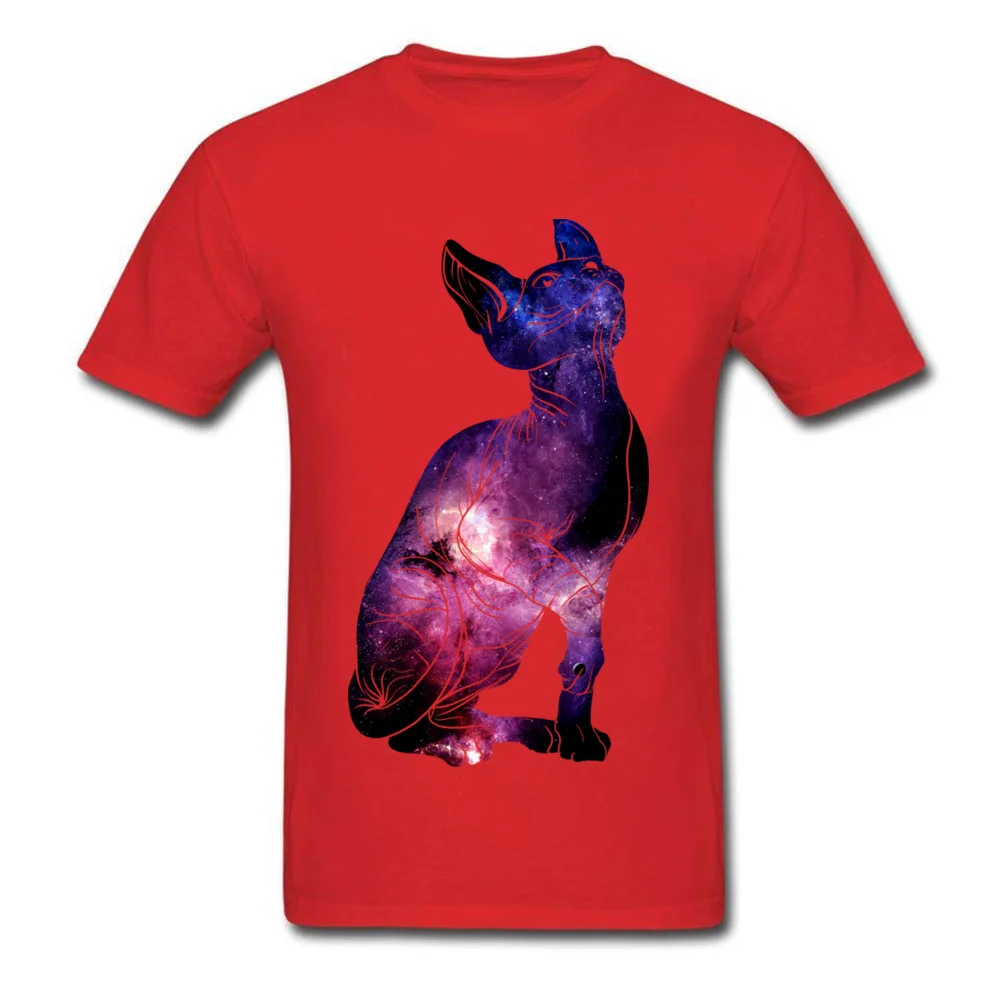 cat universe_red