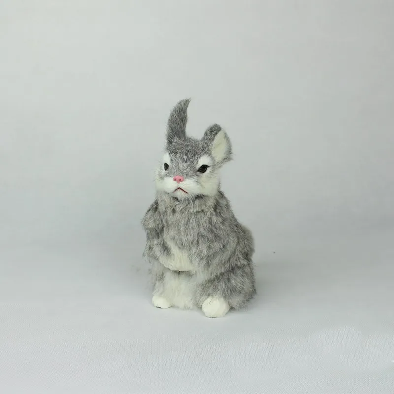 rabbit-1