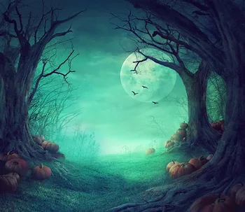 

Night Full Moon Halloween Pumpkin Tree backgrounds Vinyl cloth High quality Computer print party photo backdrop