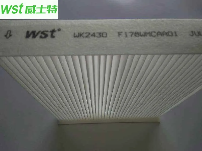 

F178WMCAA01 Cabin filter For Qoros 3 1.6L 1.6T (14)