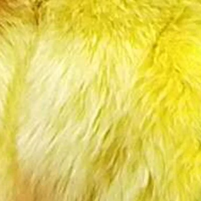 ETHEL ANDERSON, натуральный Лисий мех, жилет,, модный натуральный Лисий мех, Длинный жилет, зимний, высокое качество, Женская лиса - Цвет: 9 Yellow