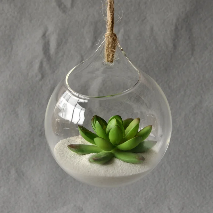 

Hanging Glass Vase Hanging Terrarium Glass Vase Hydroponic Ball Home Decor