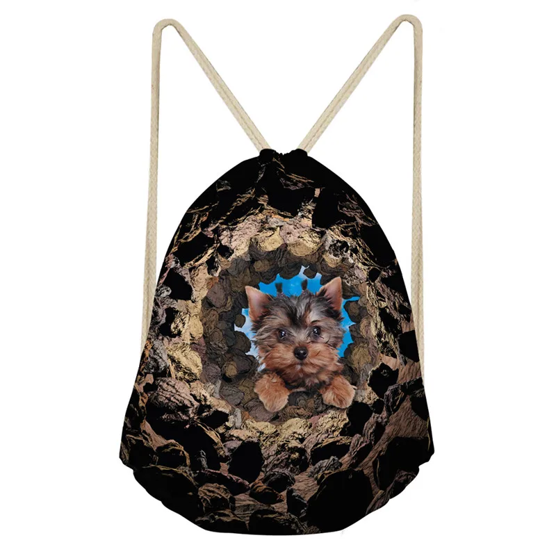 FORUDESIGNS/модный рюкзак для кошек и собак, с принтом, для путешествий, для девочек, женская сумка на плечо, женские рюкзаки, полиэстеровый мешок с Кулиской - Цвет: C3602Z3