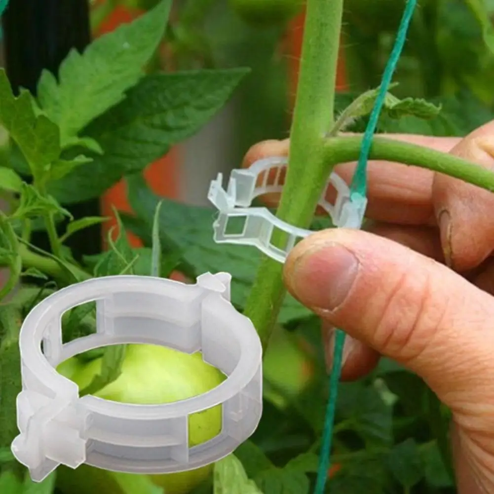 

45# 50Pcs Plastic Durable Vine Plants Vegetables Support Clip For Garden Types Plant Hanging Vine Holder Tool Ornament
