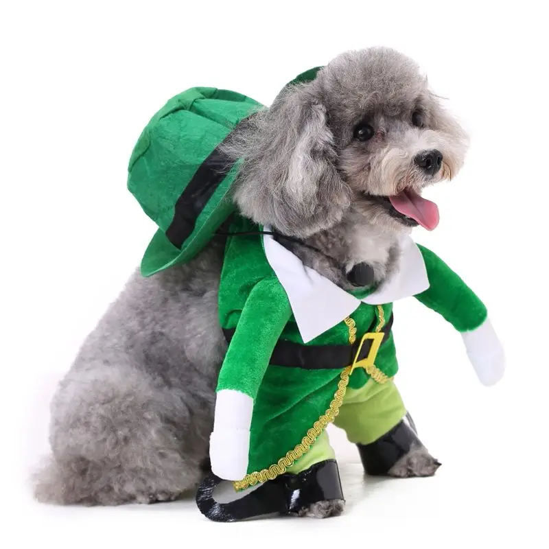 

Dog Sets Pets Turned Into Funny Costumes Standing With Christmas Elf Prince Decoration Clothes Suit Funny Outfit Standing