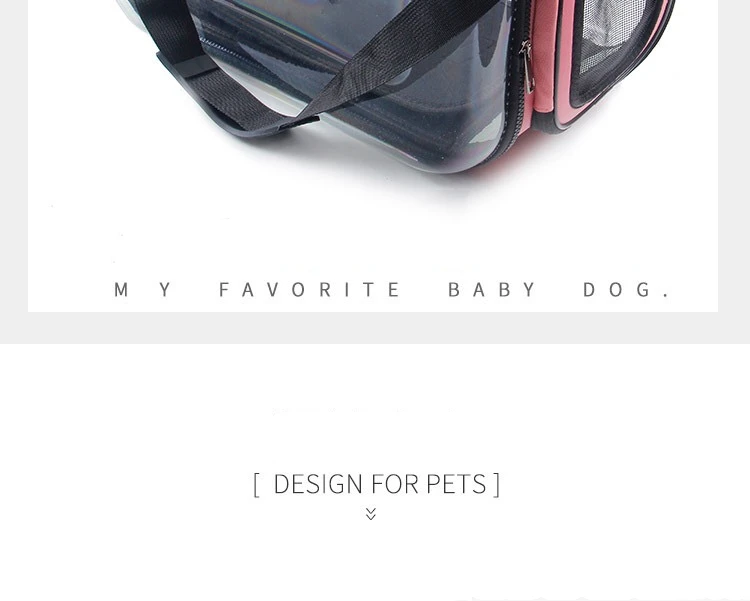 dogIMG_2453
