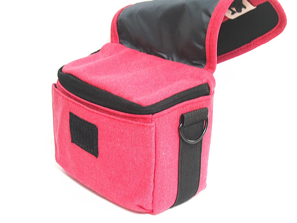 CASE-066P