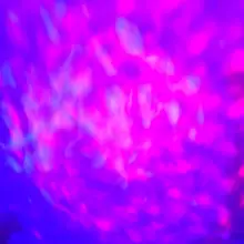 HTB1d1RaXZ_vK1RkSmRyq6xwupXay