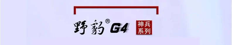 G4----16-tmall_02
