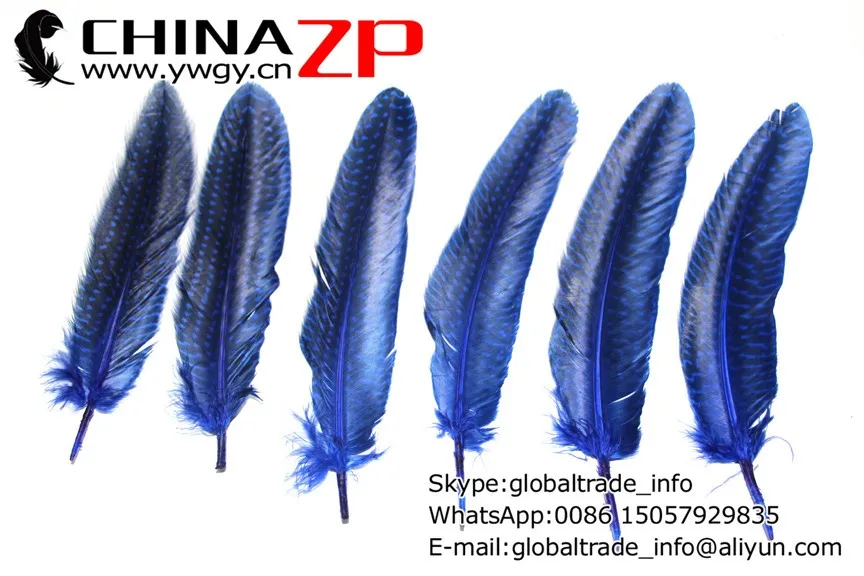 Chinazp фабрики www.ywgy.cn 15 ~ 20 см Длина 200 шт./лот горошек окрашенная Royal Blue цесарки гусиный пух