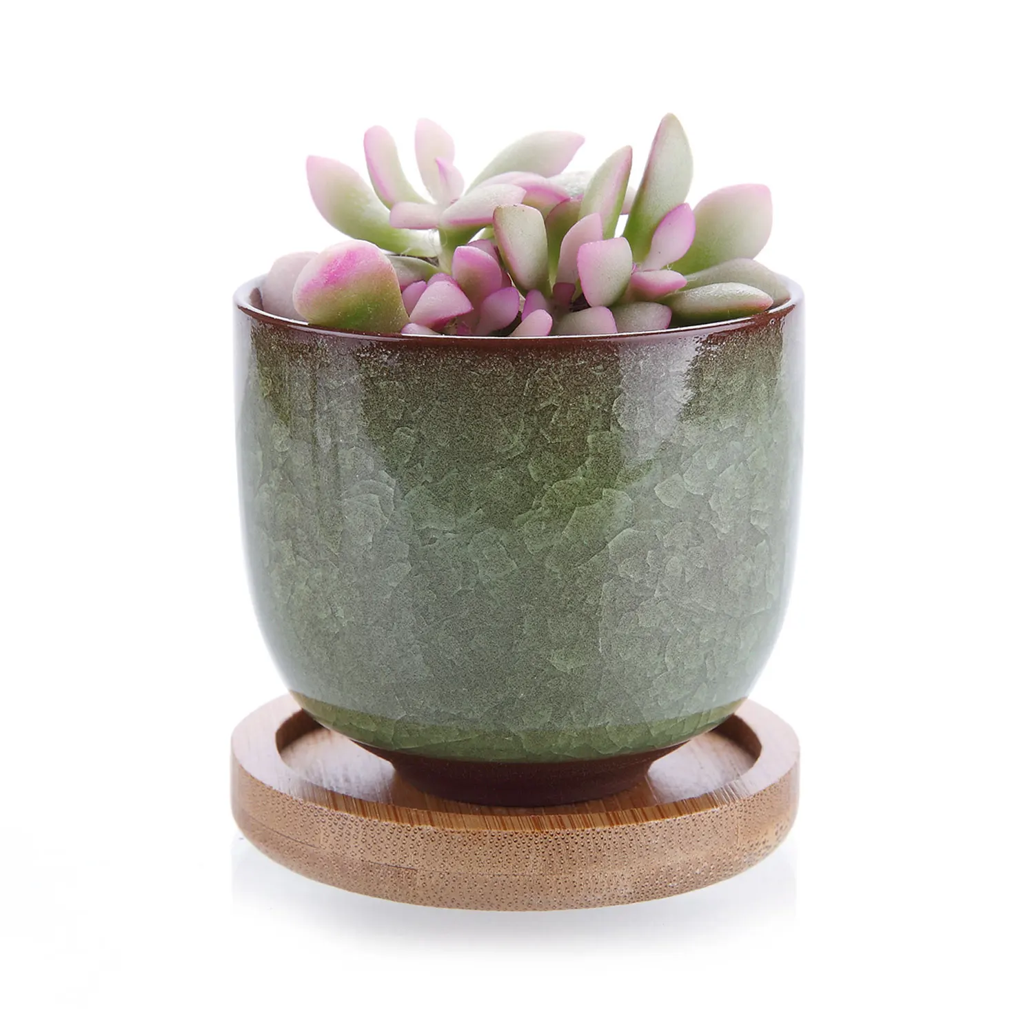 2.5 Inch Ceramic Ice Crack Zisha Raised Serial succulent Cactus Plant Pot Flower Container Planter light green Bamboo Trays | Дом и сад