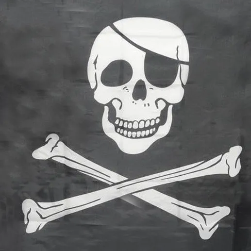 

D3 Huge 3x5FT Skull Crossbones Pirate Flags Grommets Decoration aug07