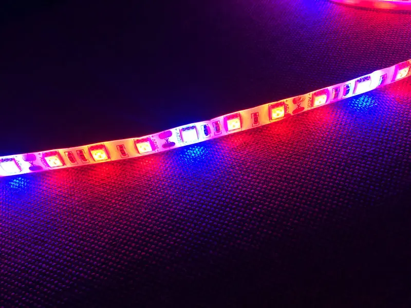 12 В 5 м 300 светодисветодиодный s полный спектр SMD5050 Светодиодная лента освещение