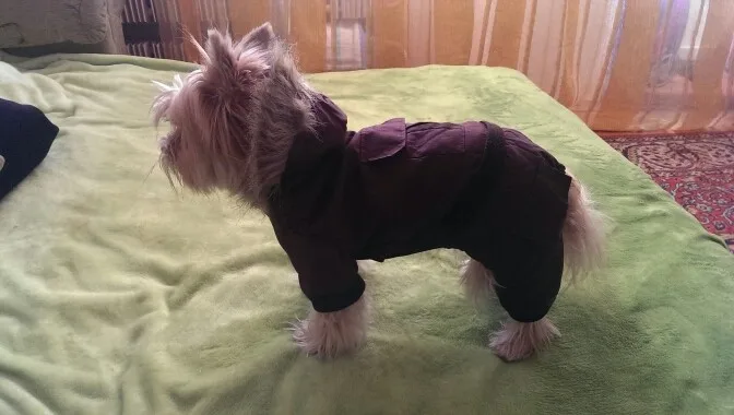 UT84O_HXB0aXXagOFbXp