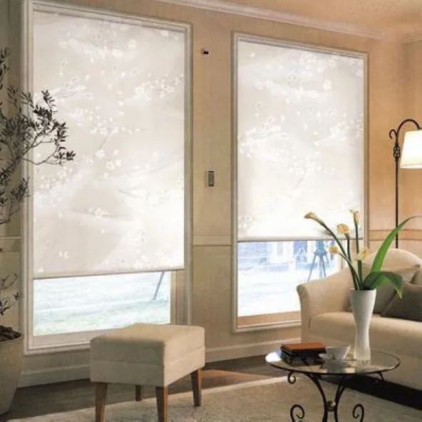 

Translucent SunScreen Roller Blinds in White 35% Polyester 65% PVC Window Curtain for Kitchen Balcony Custom Made Size