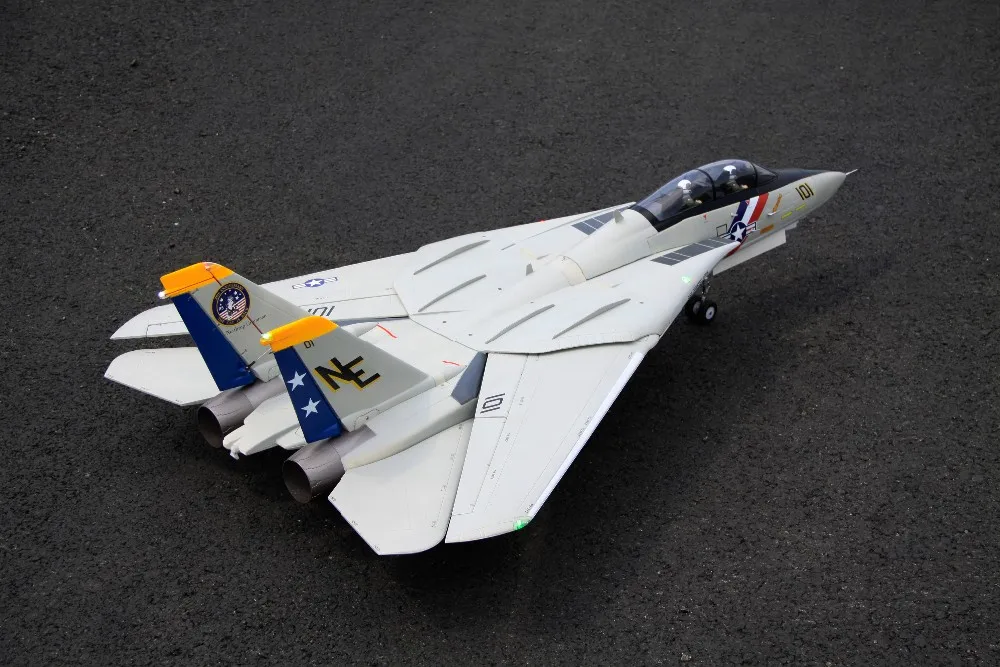 デュアルリモートコントロール航空機ジェットモデルF-14,ドーム