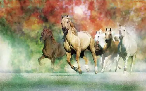 Набор для вышивки крестиком лошади 14 карат|cross stitch kits|stitching kit cross stitchcross set |