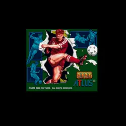 World Soccer 94-Road to Glory 16 bit большая серая игровая карта для NTSC Game Player Прямая доставка