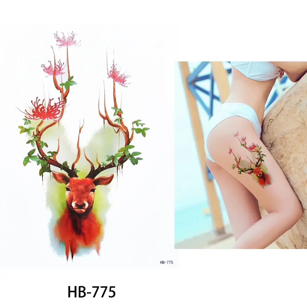 HB-775