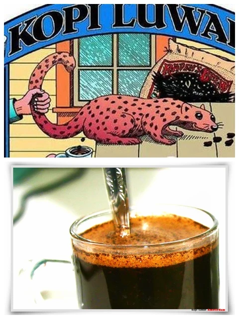 Hochwertige 200g Kaffee Bohnen Backkohle Ger 246 Stet hochwertige 200g kaffee bohnen backkohle ger 246 stet