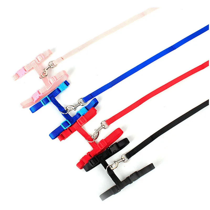 3724005535_1118210482_03