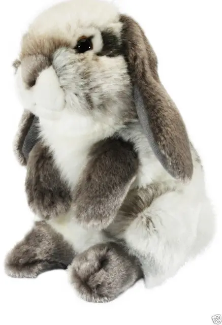 Living Nature Small Lop Eared Rabbit 