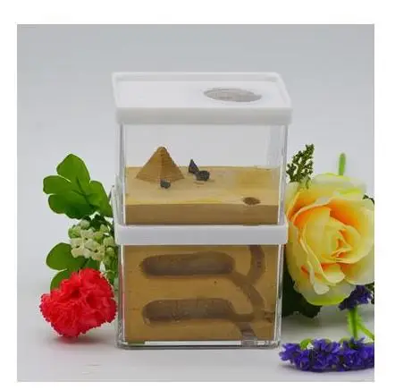 Plaster Ant Nest Acrylic Ant Farm Ants Queen House Insect Cage Anthills Pet Ant Castle Granja De Hormigas Hormiguero - Color: 2