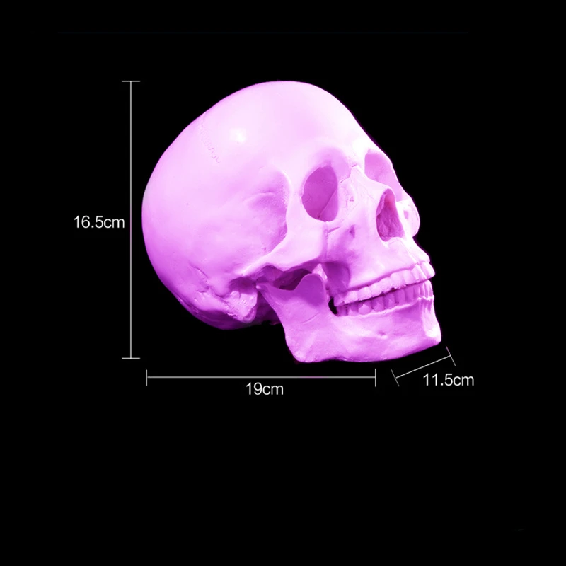 2509790894_509990420