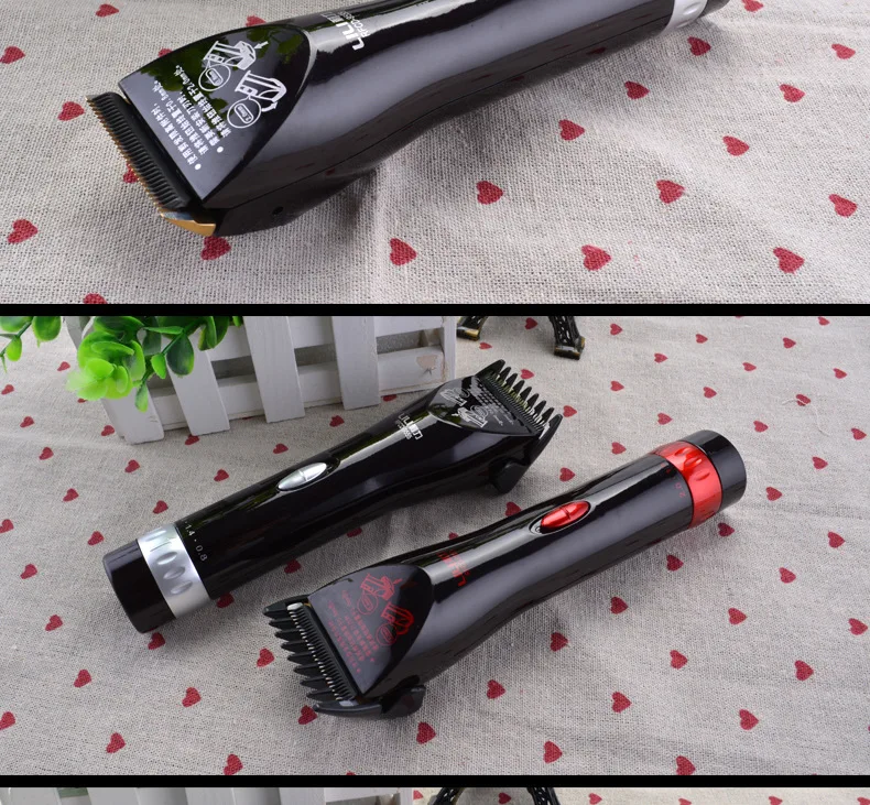 3803318470_822936908