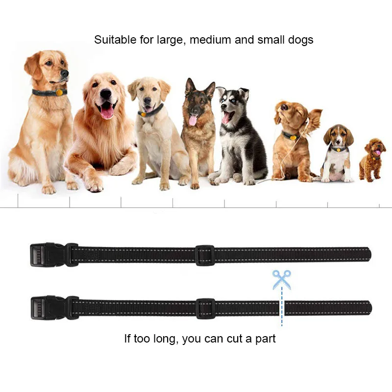 Dog Shock Collar (9)