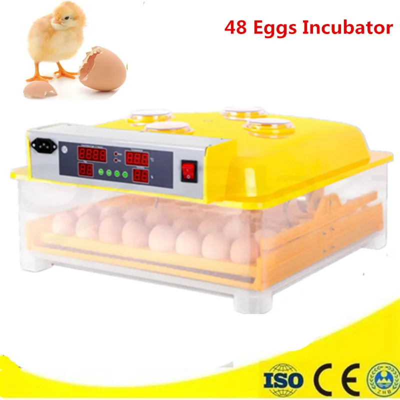 

Mini Home Use Eggs Incubators Chicken Digital Eggs Turner Hatchers Hatching Tray Machine Equipment Tool