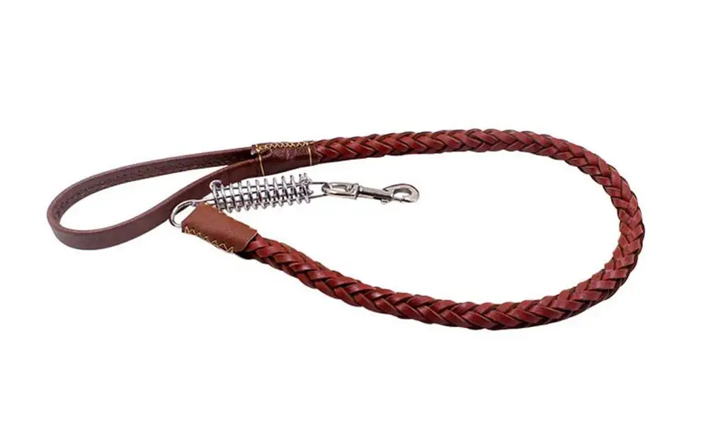 16 Collars, Harnesses & Leads