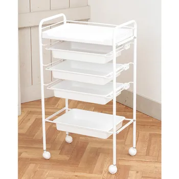 

Elitzia ETST175W Beauty Salon Rolling Trolley Storage Organizer Cart Simple 5 layers White Color