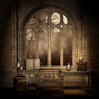 

photography backdrop interiors dreamy castle vinyl photo background for studio birthday party photoshoot backdrops D-9051