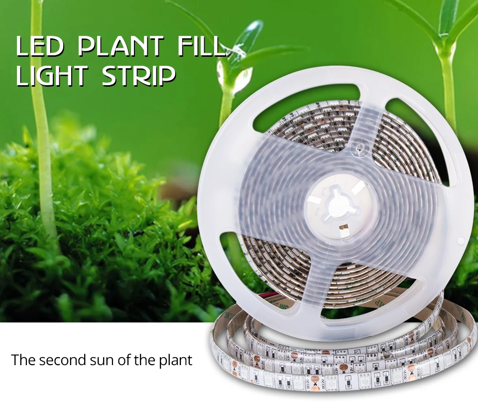 LED Grow Light Full Spectrum 5M LED Strip Light Set Dimmable (1)