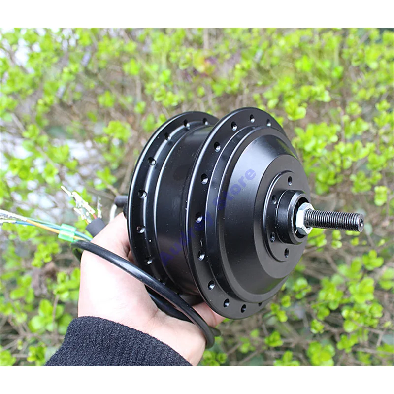 

New DC36V Electric Vehicle with Hall Brushless Motor 250W for Electric Bicycle