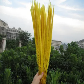

wholesale 50pcs / lot yellow color pheasant tail feathers 18-20 inches / 45-50 cm Wedding stage decoration
