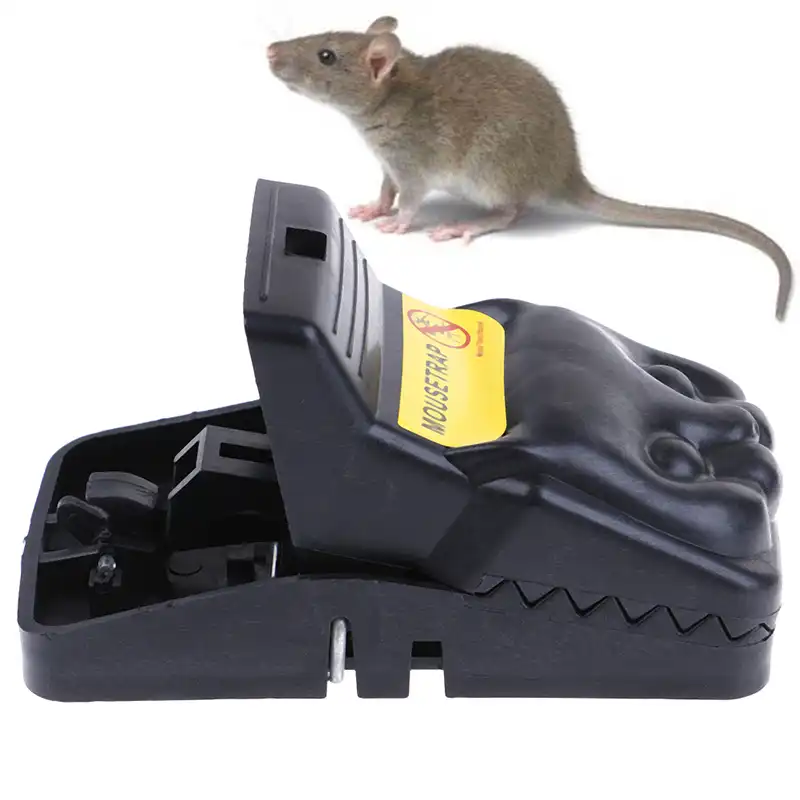 Tete De Chat Reutilisable Piege A Rat Piege A Souris Attraper Souris Puissant Souris Tueur Rongeur Facile Receveur Printemps Rongeur 13x7x7cm Aliexpress Tete De Chat Reutilisable Piege A Rat Piege A Souris Attraper Souris Puissant Souris Tueur Rongeur Facile Receveur Printemps Rongeur 13x7x7cm Aliexpress