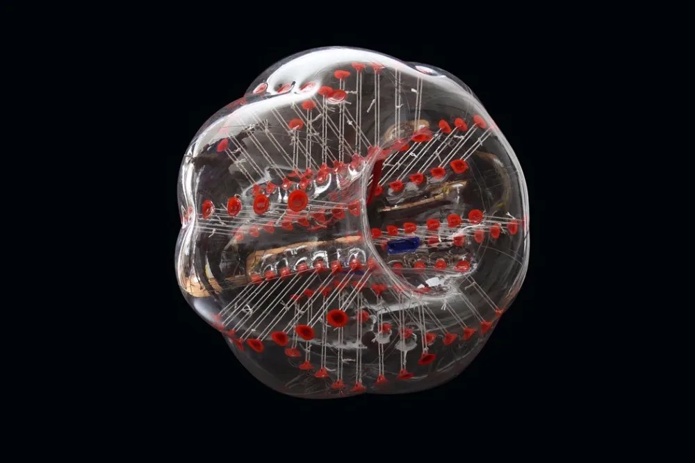 61XnIQGm4VL._SL1050_